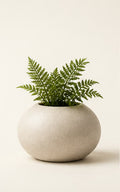 Pebble Planter by SimpliDwell