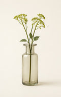 Solstice Stem Vase by SimpliDwell