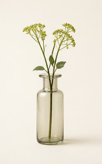 Solstice Stem Vase by SimpliDwell